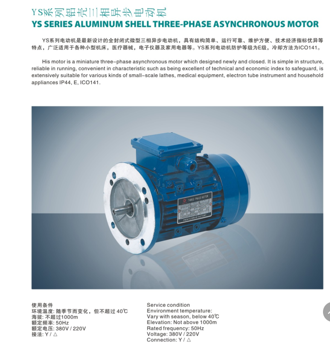 立式異步電動機