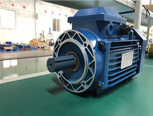 三相異步電動機按什么分三大類