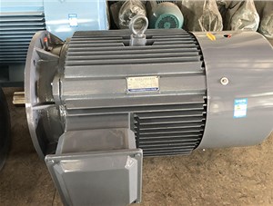 三相異步電動機的故障診斷與維護