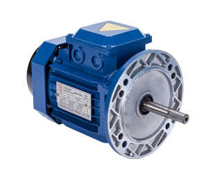 立式三相交流異步電動(dòng)機(jī)